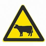 注意牲畜标志图片_注意牲畜交通标志图片及含义