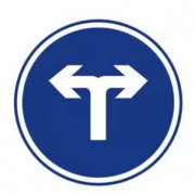 向左和向右转弯标志含义_向左和向右转弯的车道可以直行么？