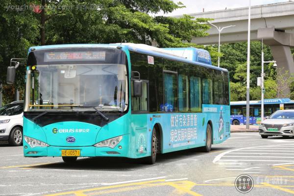 A3驾驶证驾驶的一般都是城市公交车