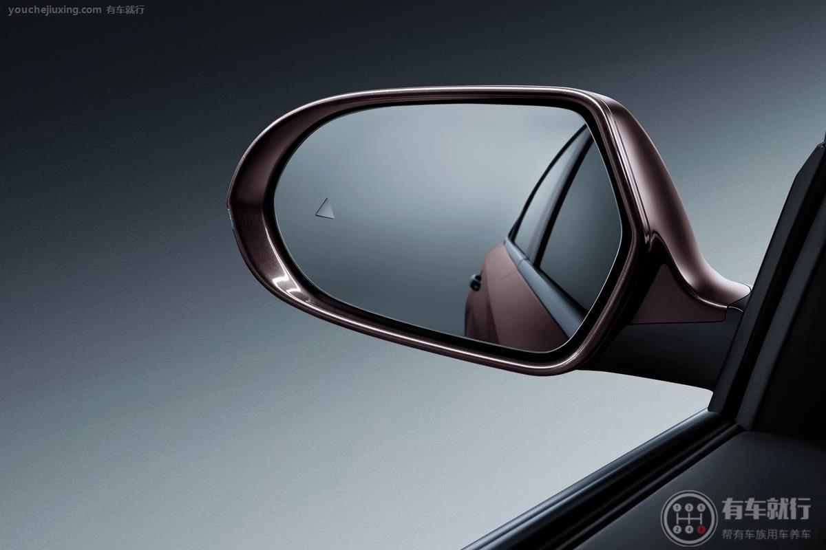 该车有并线辅助/盲区监测功能