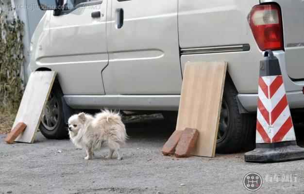 放挡板能有效防止狗狗对车撒尿