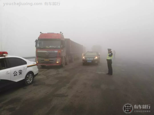 驾驶机动车在高速公路上行驶遇有雾