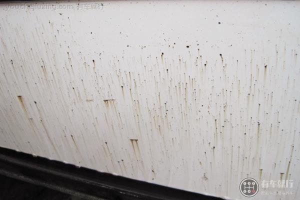 汽车污垢的种类有哪些