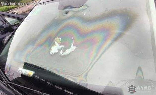 玻璃类汽车美容项目有哪些