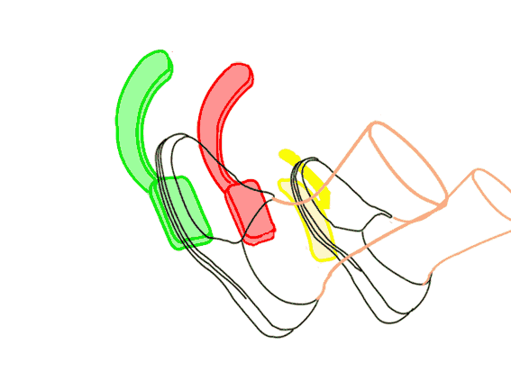 为什么不能左右脚开车