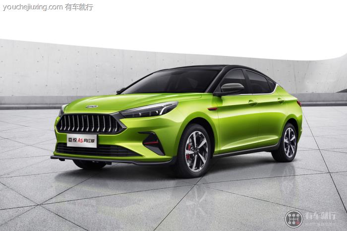 嘉悦a5大小