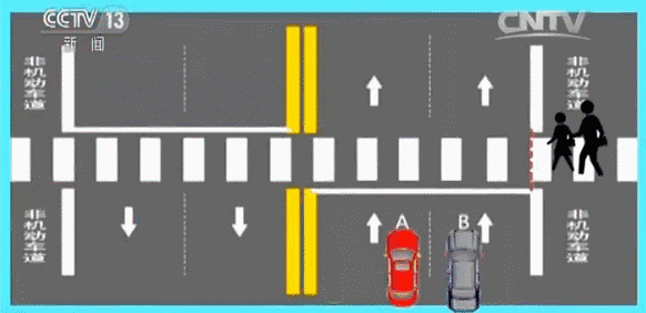 礼让行人怎么界定图解