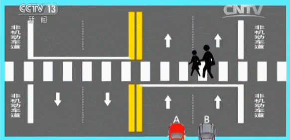 礼让行人怎么界定图解